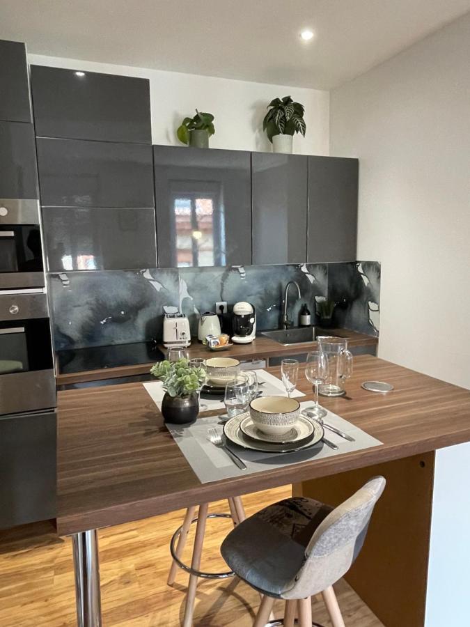 Appartement Climatise Avec Balcon Et Parking Prive Toulouse Exterior foto